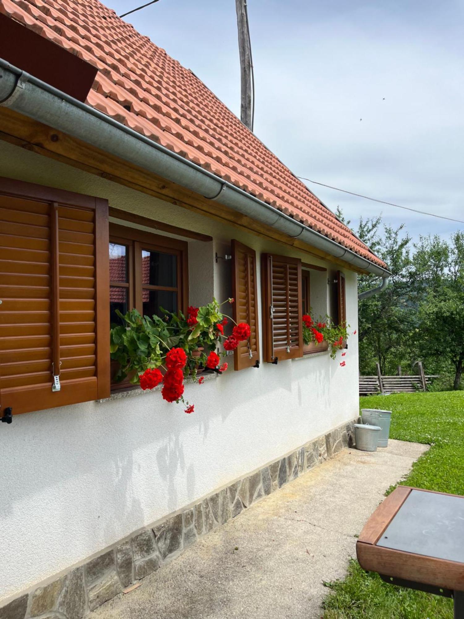Domacija Brdar Adlesici Exterior foto